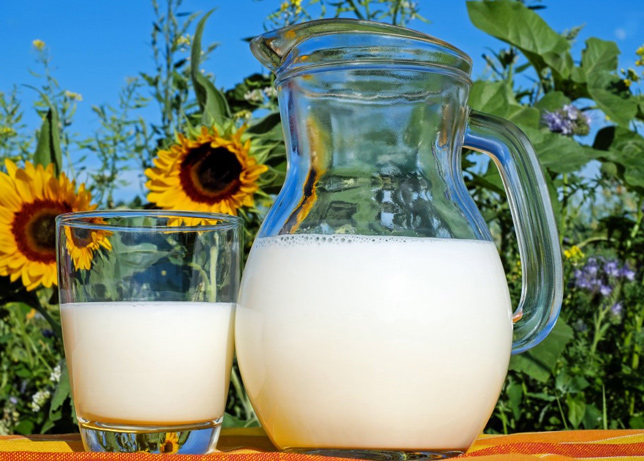 辽宁牛奶批发厂家：植物奶产品可以代替牛奶吗？